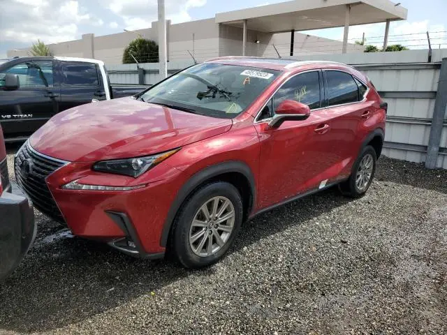 Lexus NX 2019г.