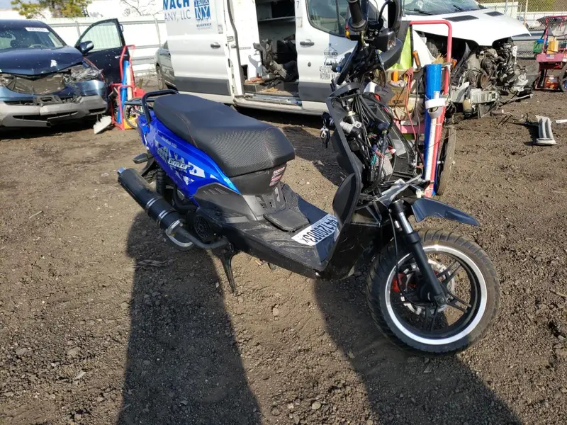 WOLF RUGBY II 2022г.