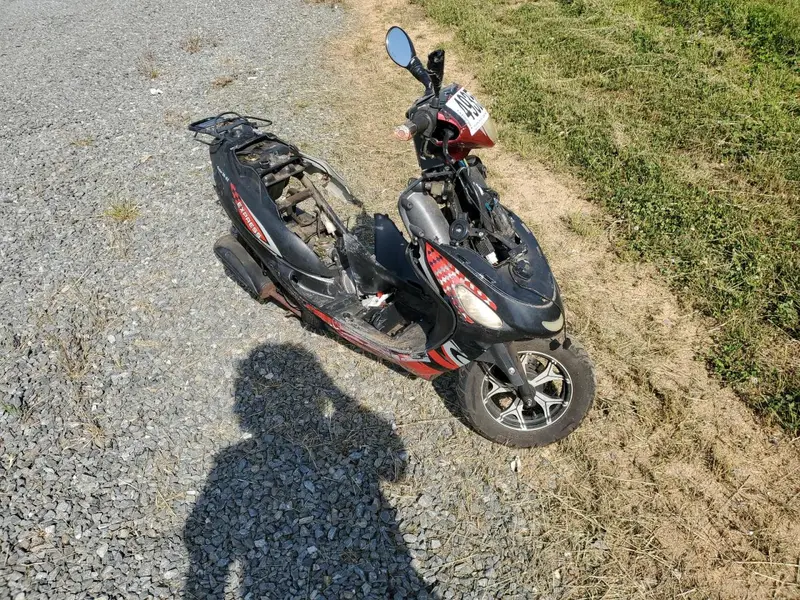 Bloomer Base 2020г.