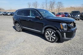 Kia Telluride 2021г.