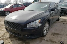 Nissan Maxima 2011г.