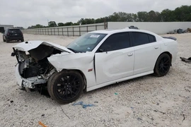 Dodge Charger 2019г.