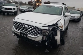 Hyundai Santa Fe 2022г.