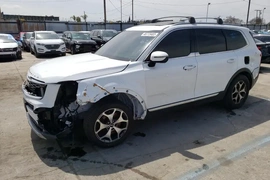 Kia Telluride 2020г.