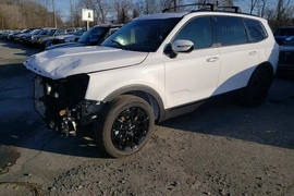 Kia Telluride 2022г.