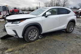 Lexus NX 300 2021г.