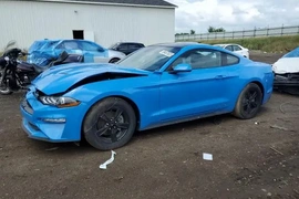 Ford Mustang 2023г.