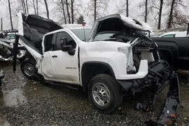 Chevrolet Silverado 2020г.