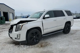 Cadillac Escalade 2019г.