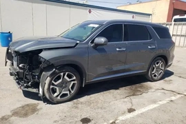 Hyundai Palisade 2023г.