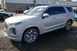 Hyundai Palisade 2021г.