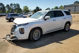 Hyundai Palisade 2020г.