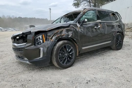 Kia Telluride 2020г.