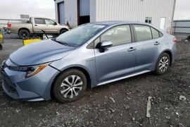 Toyota Corolla 2021г.