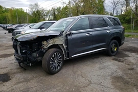 Hyundai Palisade 2023г.