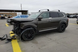 Kia Telluride 2021г.