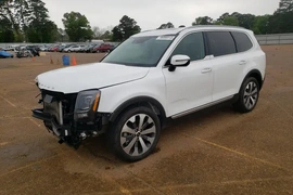Kia Telluride 2020г.
