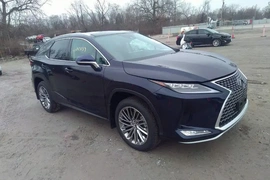Lexus RX 2022г.