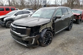 Kia Telluride 2022г.