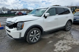 Kia Telluride 2020г.