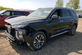 Hyundai Palisade 2020г.