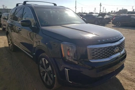 Kia Telluride 2021г.