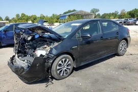 Toyota Corolla 2020г.