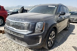 Kia Telluride 2020г.
