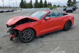Ford Mustang 2019г.