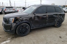 Kia Telluride 2022г.