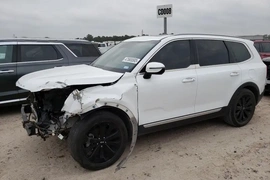 Kia Telluride 2020г.