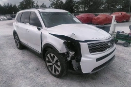 Kia Telluride 2021г.