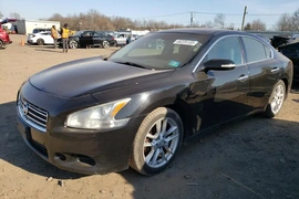 Nissan Maxima 2009г.
