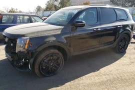 Kia Telluride 2022г.