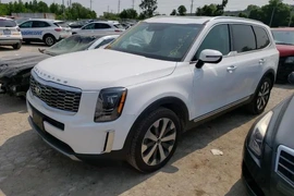 KIA Telluride 2021г.