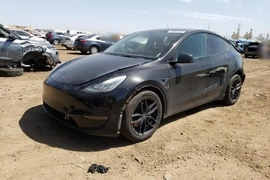 Tesla MODEL Y 2021г.