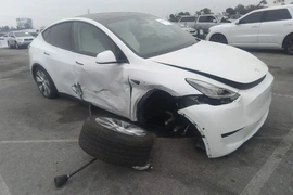 Tesla Model Y 2020г.