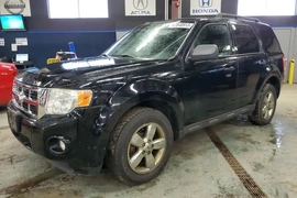 Ford Escape 2010г.