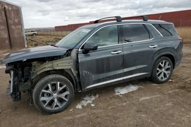 Hyundai Palisade 2021г.
