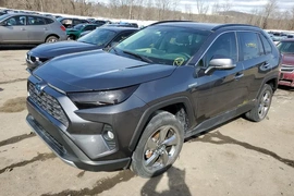 Toyota RAV4 Hybrid 2020г.