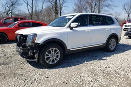 Kia Telluride 2020г.