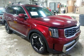 Kia Telluride 2023г.