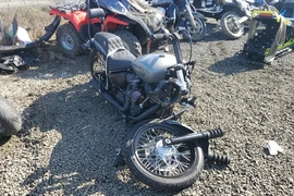 Harley-Davidson Street BOB 2020г.