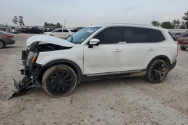 Kia Telluride 2020г.