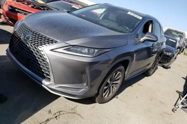 Lexus RX 2020г.