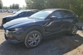 Mazda CX-30 2020г.