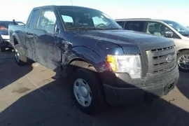 Ford F-150 2009г.