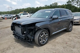 Hyundai Palisade 2023г.