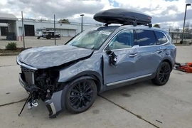 KIA Telluride 2021г.