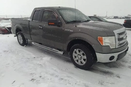 Ford F-150 2014г.